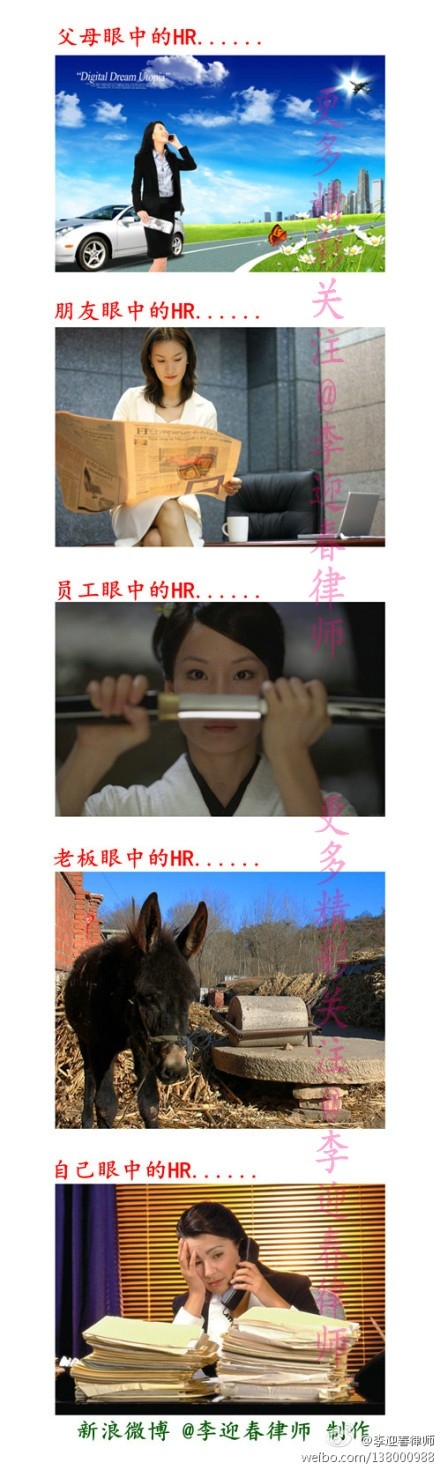 【阳光日志】大家眼中的HR