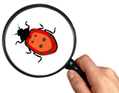 太仓人才网南洋人才市场网上预定系统BUG修复