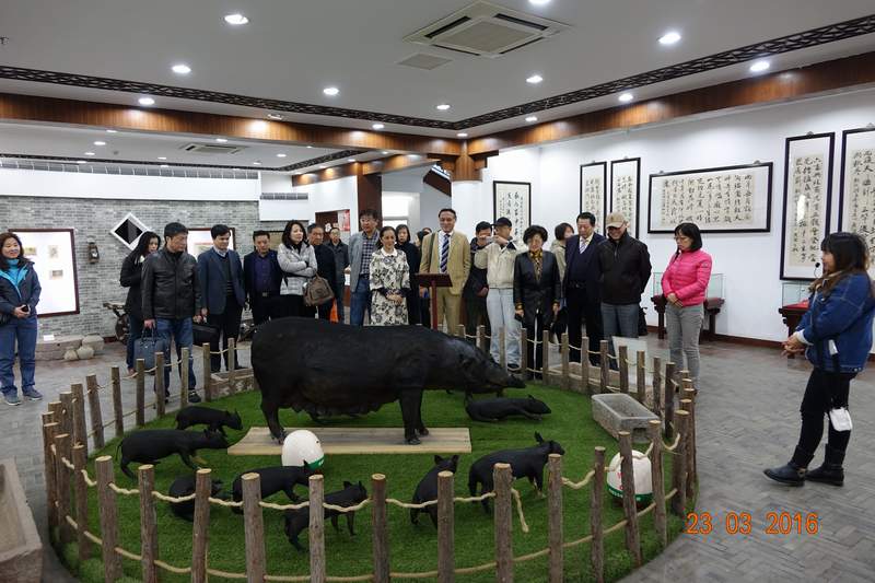 民革上海市委来太调研我市台资企业发展情况