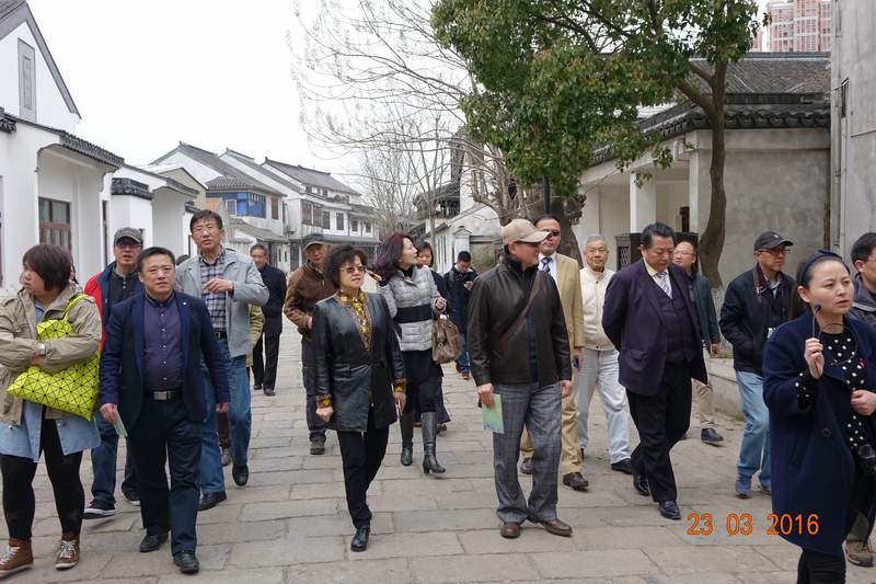 民革上海市委来太调研我市台资企业发展情况