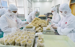 太仓肉松 传承百年的特产闯出大市场