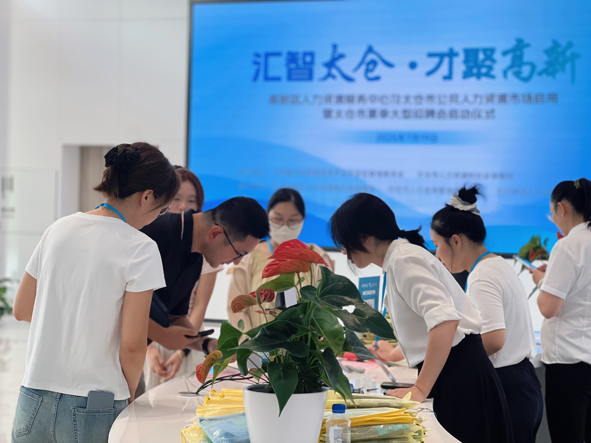 太仓2025夏季招聘会火热启航——盛夏热浪难挡逐梦心