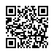 主办会计 - 苏州光蓝信息技术有限公司