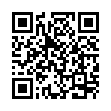 IT/网络专员（工作地址：常熟支塘） - 新丽纤维制品（苏州）有限公司