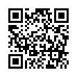 技术文员 - 勃格科技有限公司